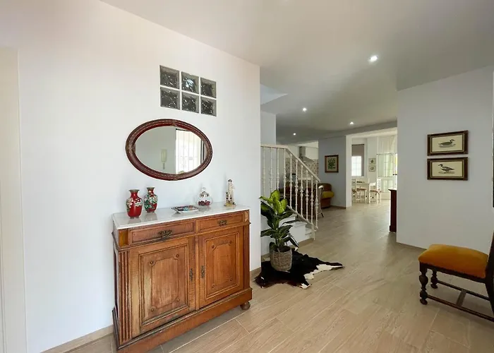 Leza * 콘일데라프론테라